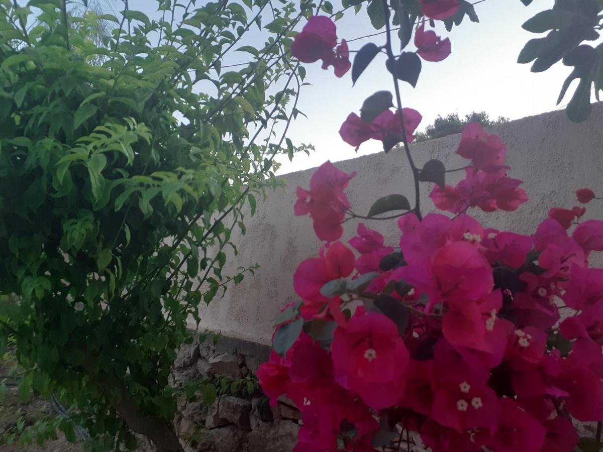 Masticha Village Apartments & Studios Monolia المظهر الخارجي الصورة